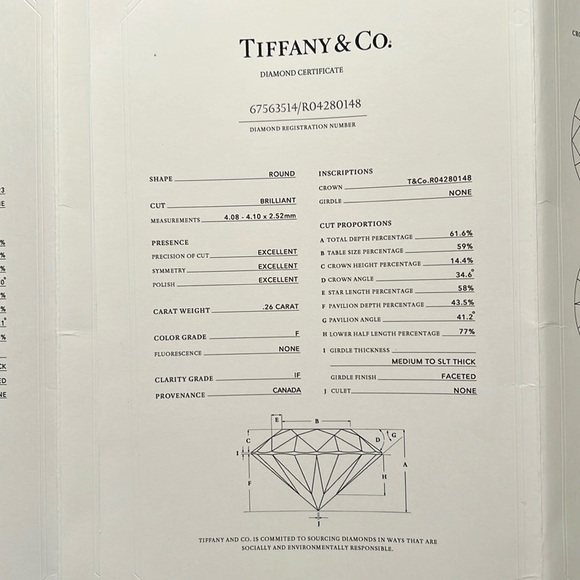 Tiffany & Co. Silver Solitaire Earrings - Picture 16 of 16